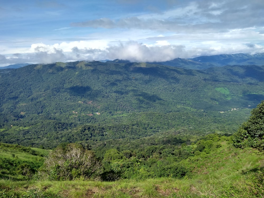 praderas a través de nubes blancas durante el día