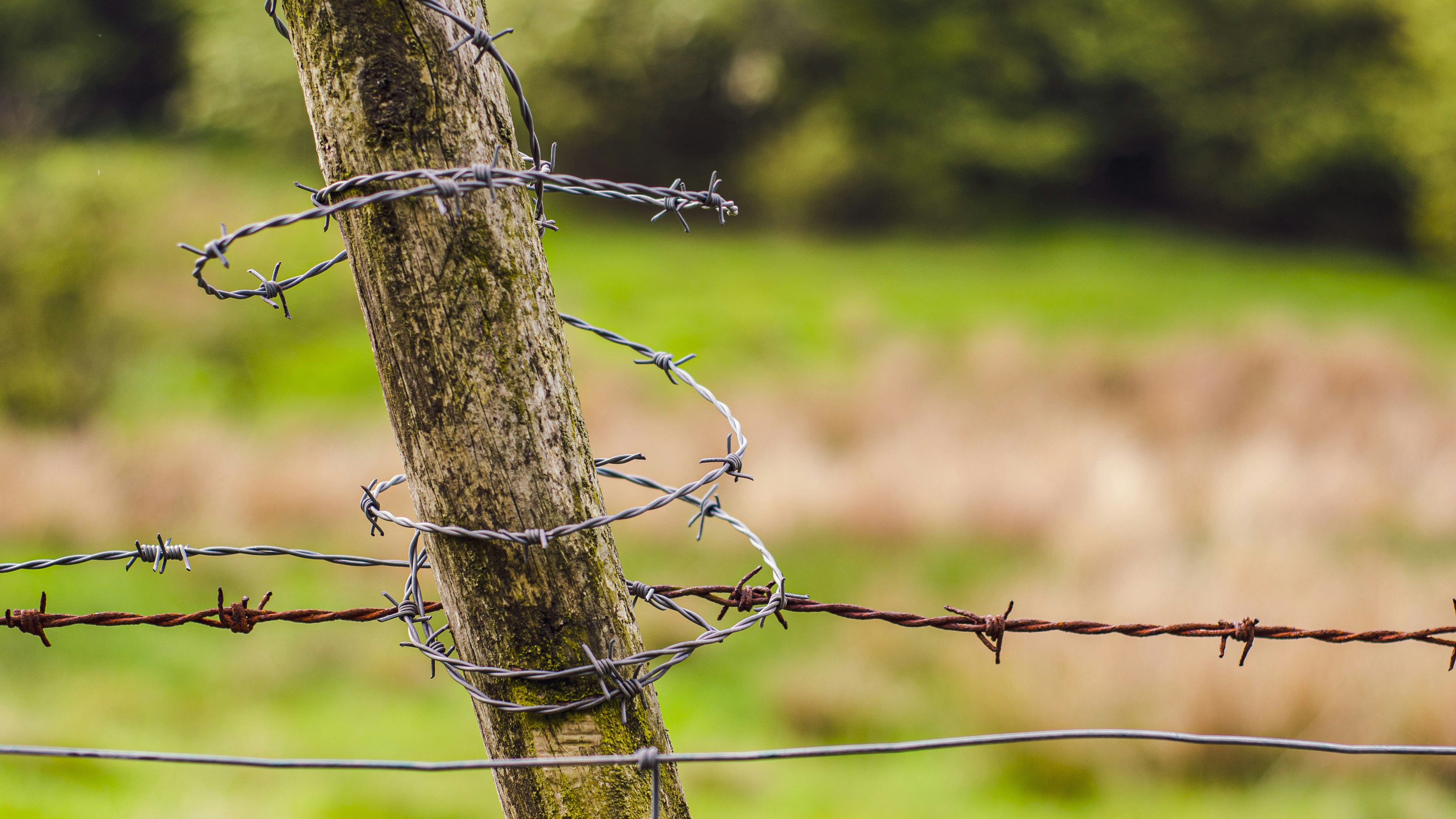 Photo by shanerounce