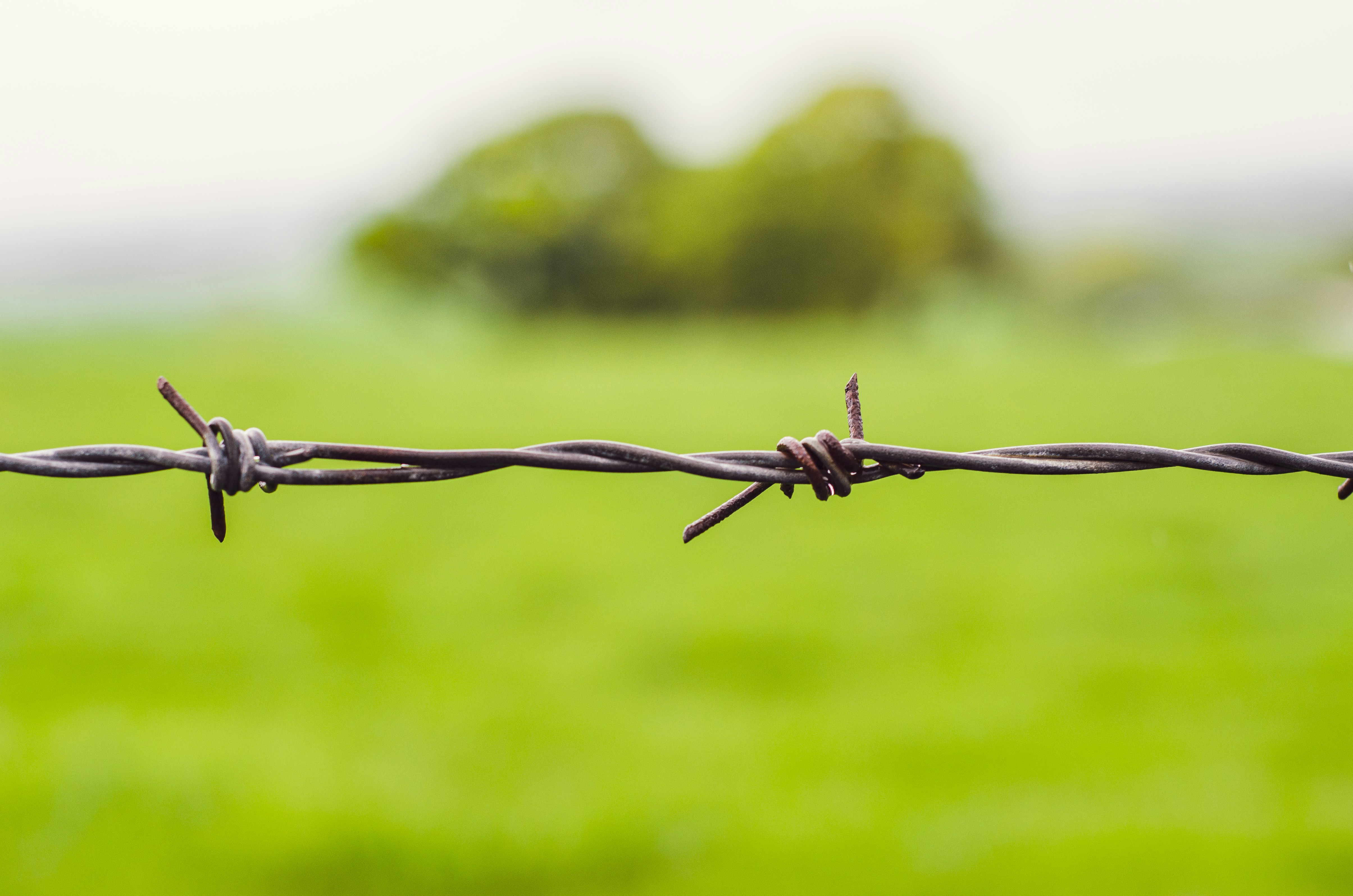 Assorted Links Monday