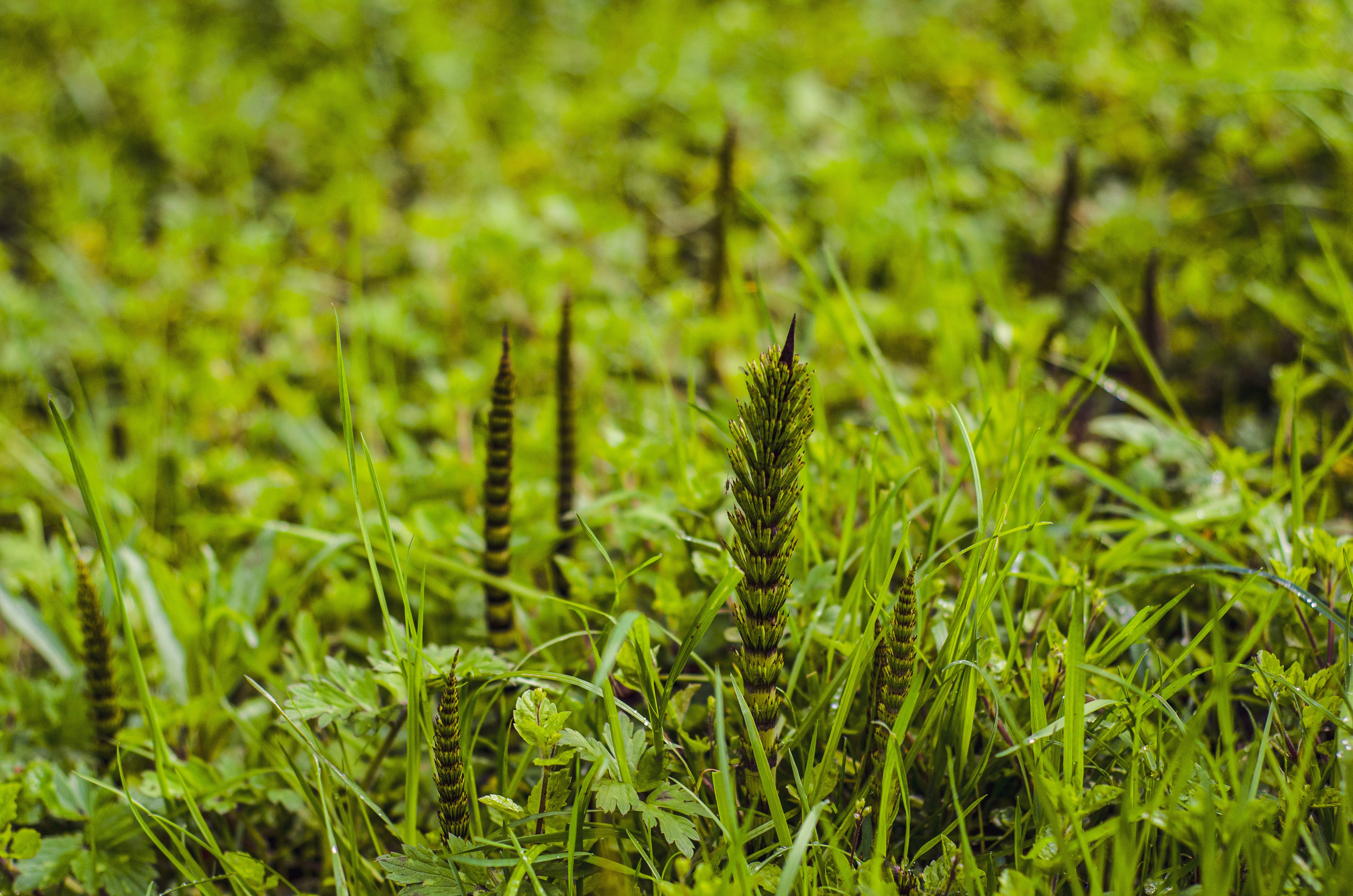 Photo by shanerounce