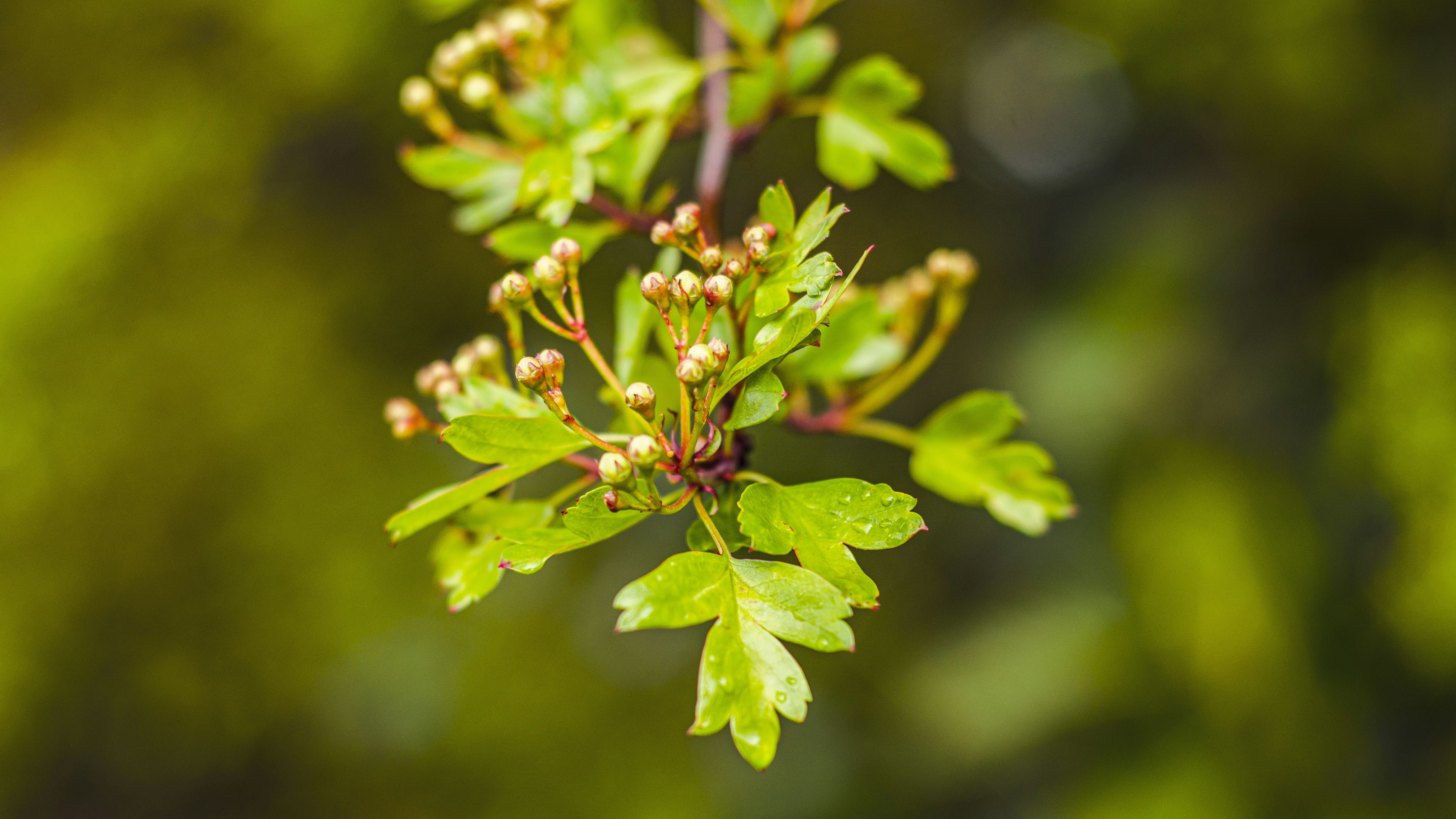 Photo by shanerounce