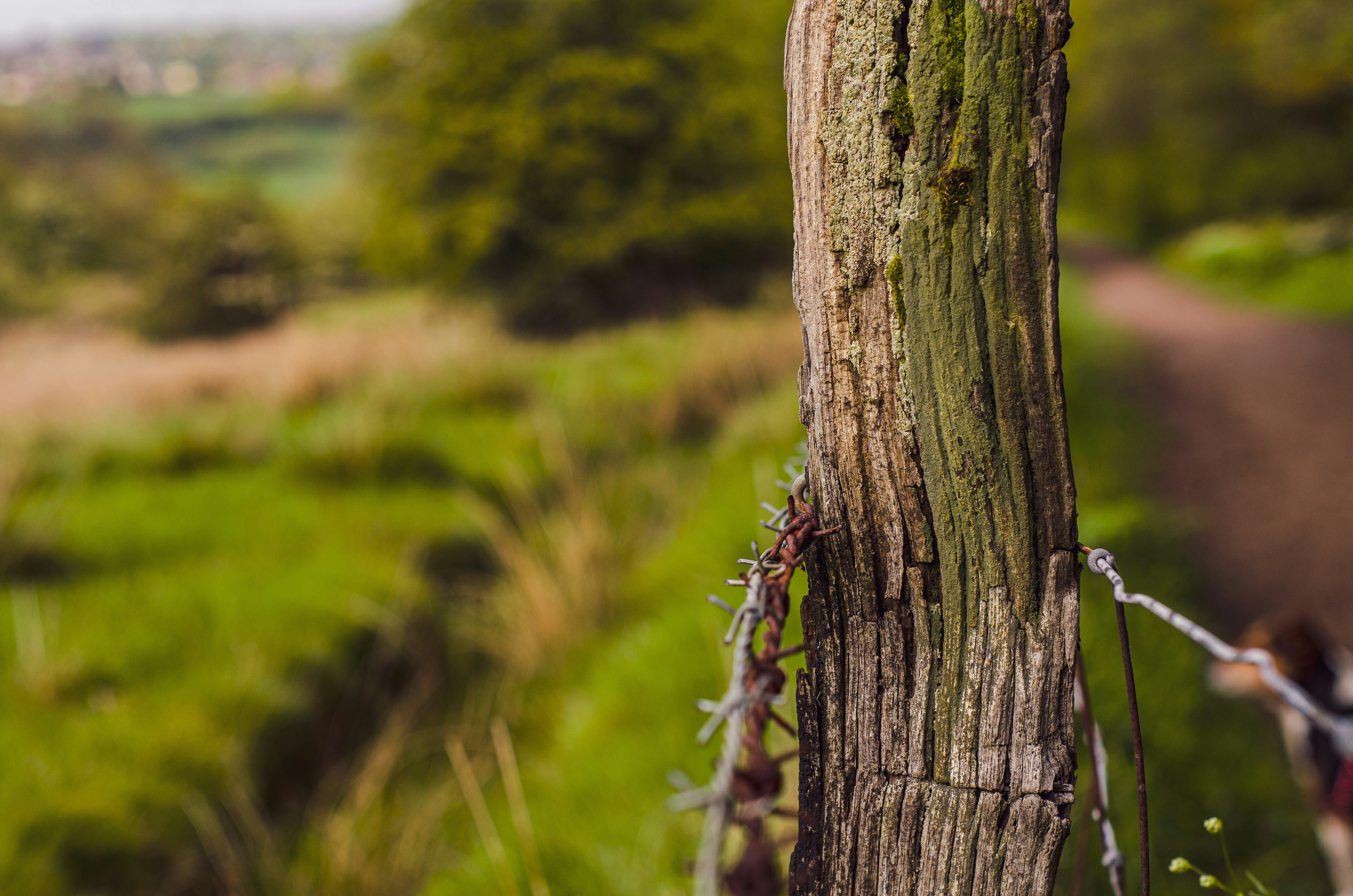 Photo by shanerounce