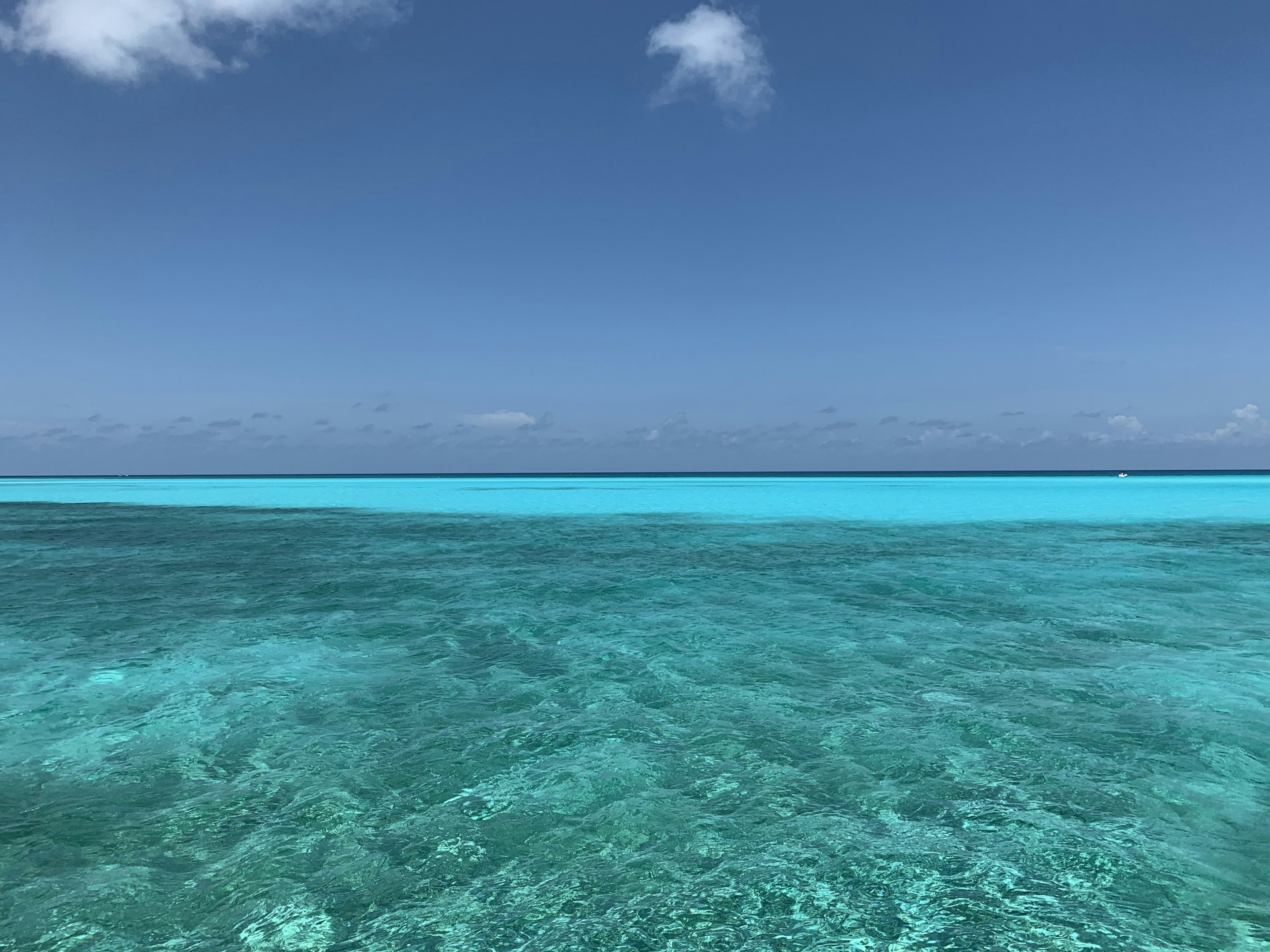 landscape photo of a green sea