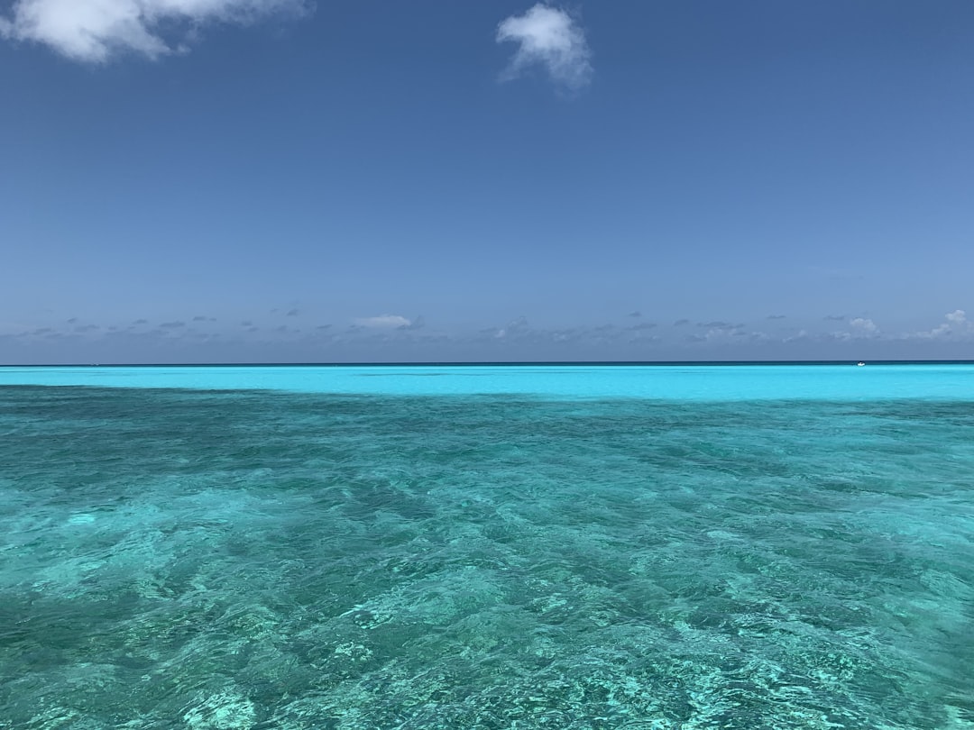 landscape photo of a green sea,