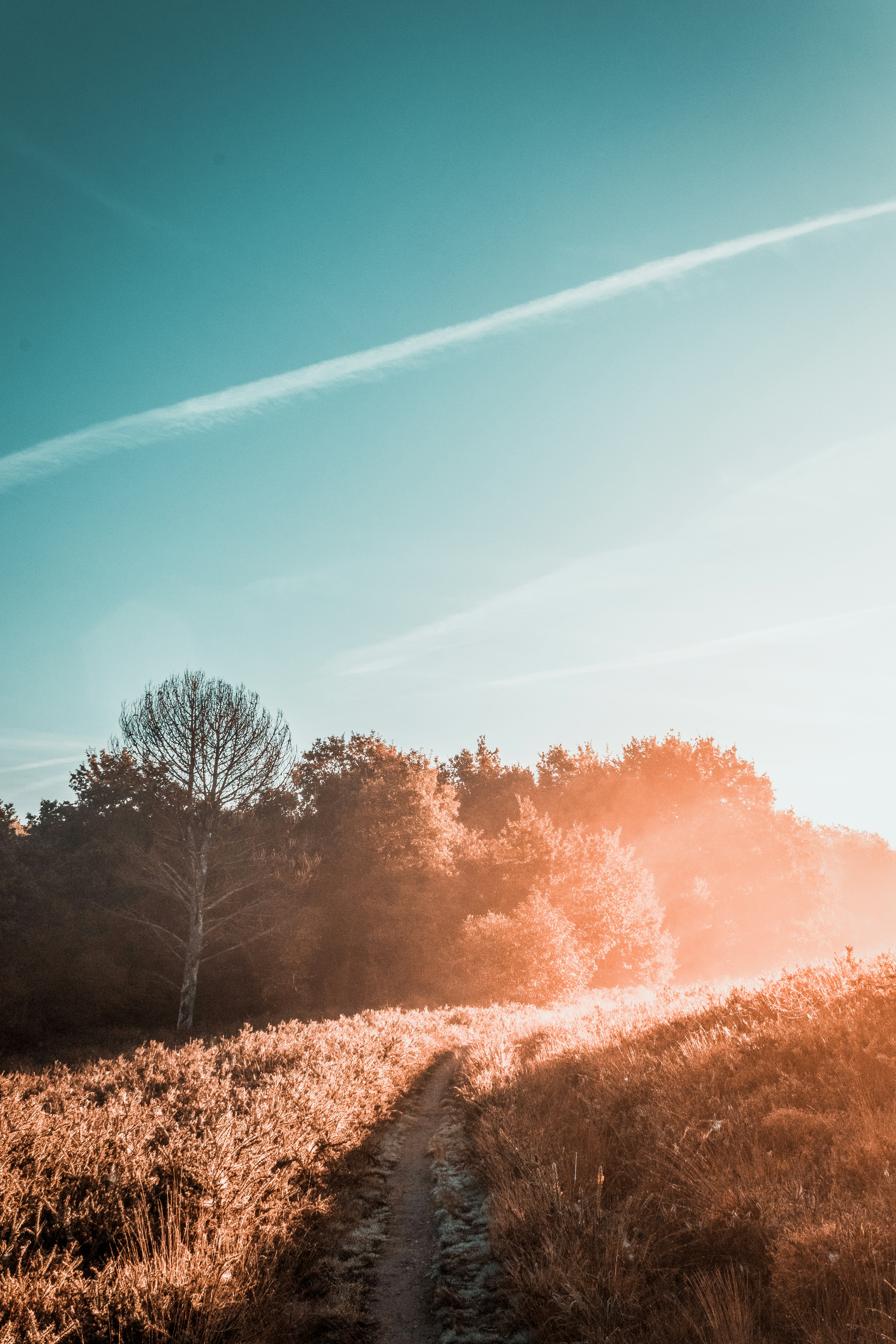 Photo by floriancario