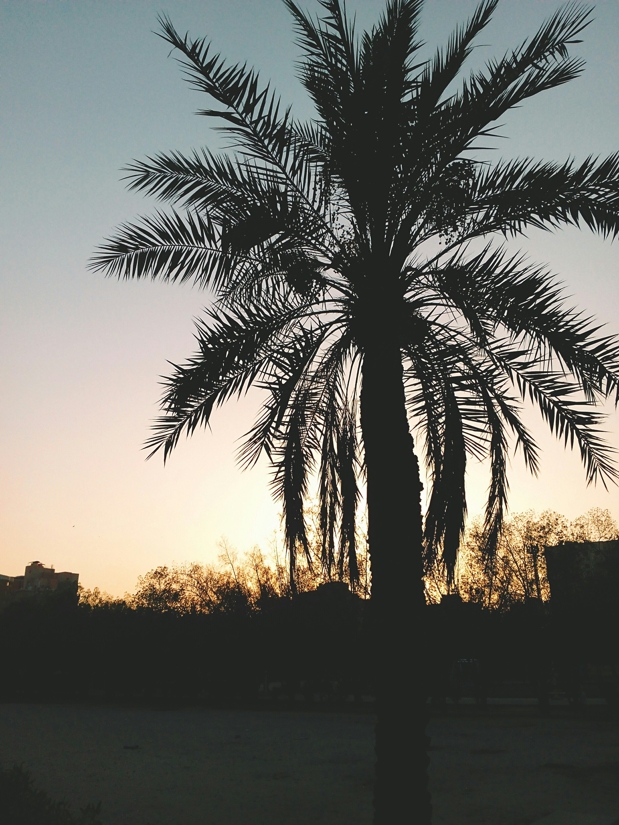 Photo by ruqayyahsheriff