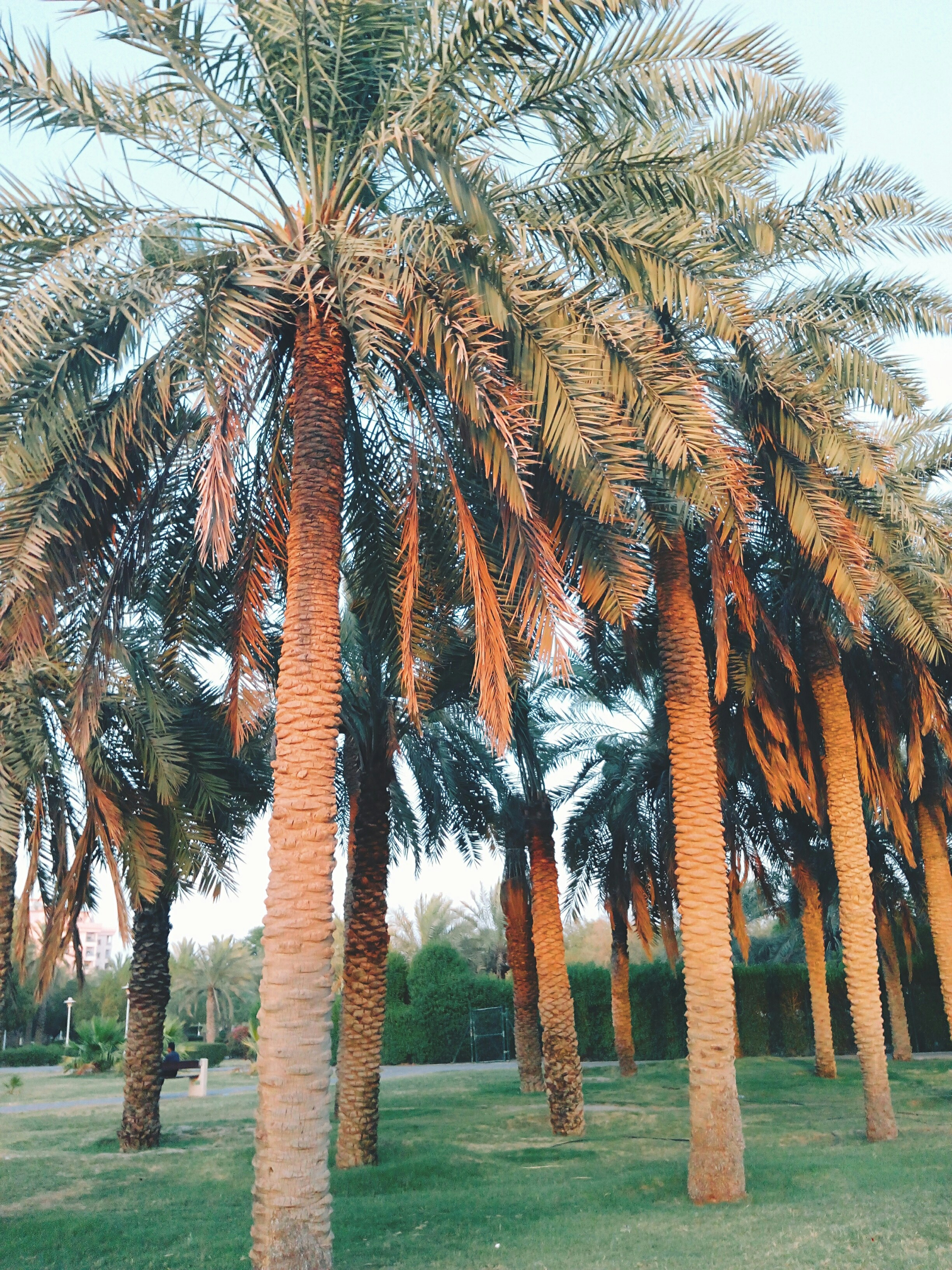 Photo by ruqayyahsheriff