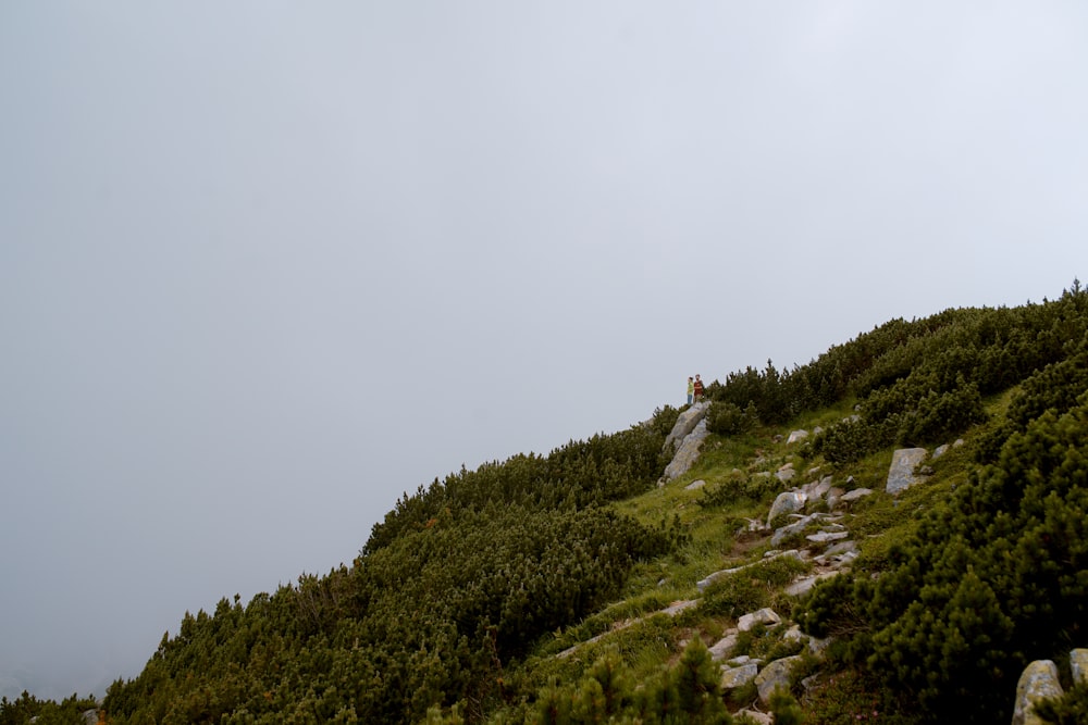 Grüner Berg unter grauem Himmel