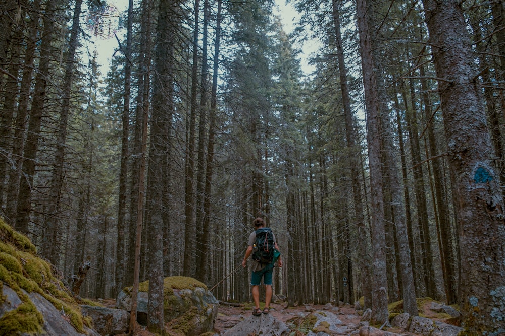 man standing near treews