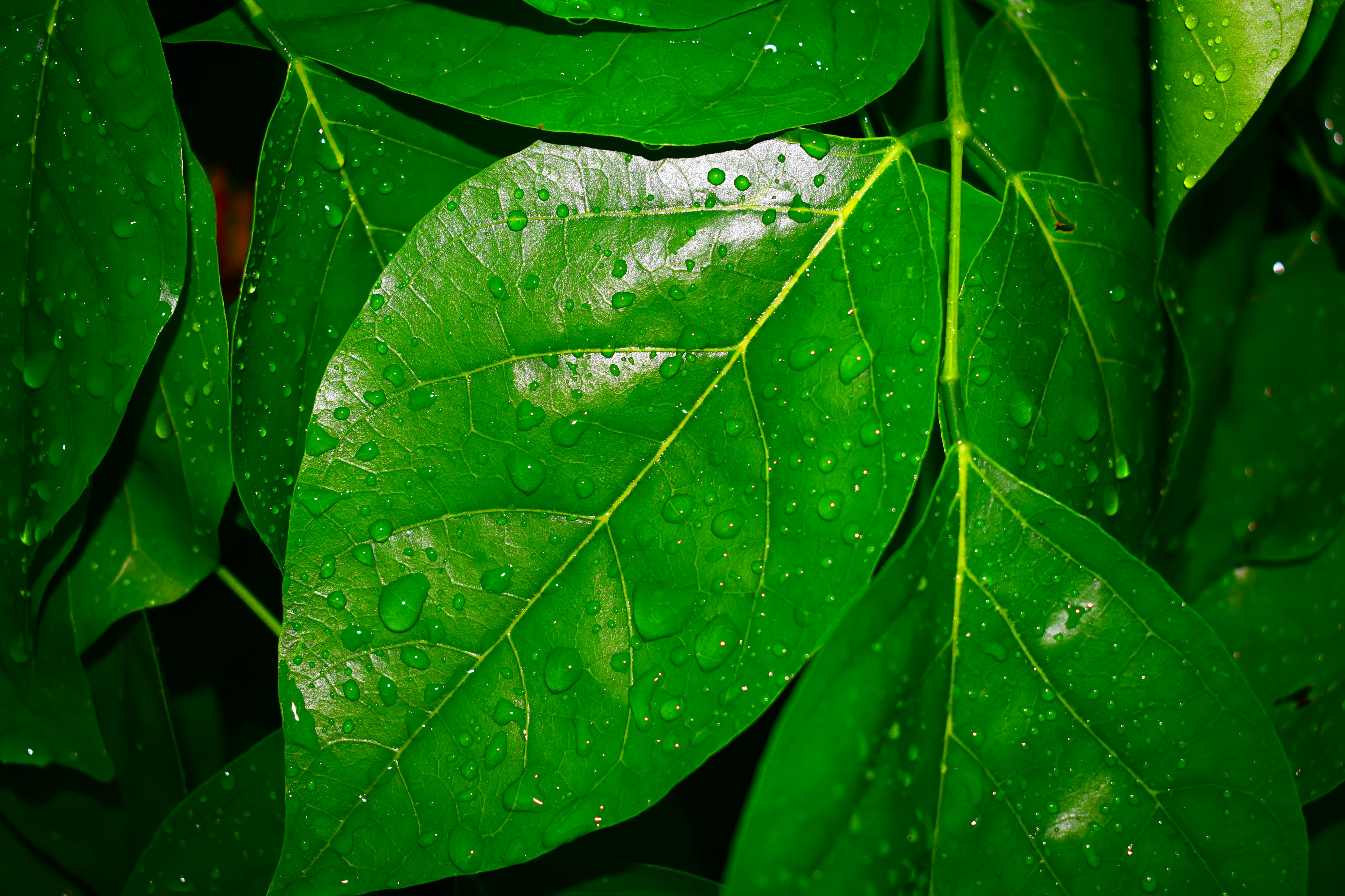 Photo by iu_unsplash