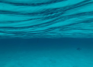 green underwater photo