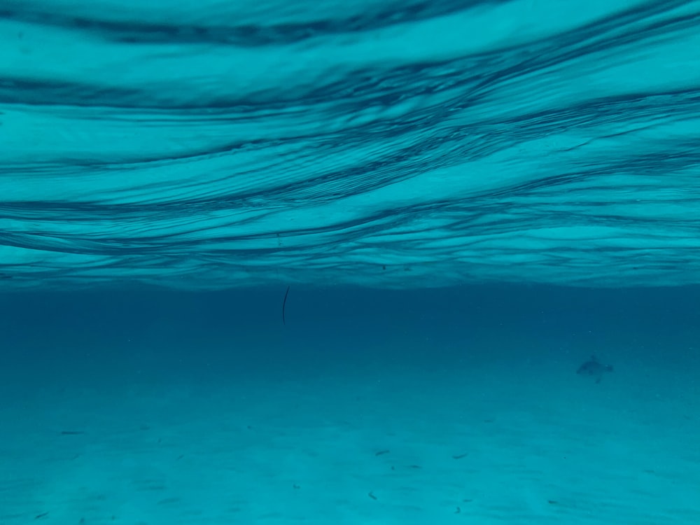 green underwater photo