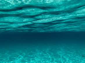 רואה מתחת למים – קריאה בספר אטלנטיס מאת טל ניצן (אפי