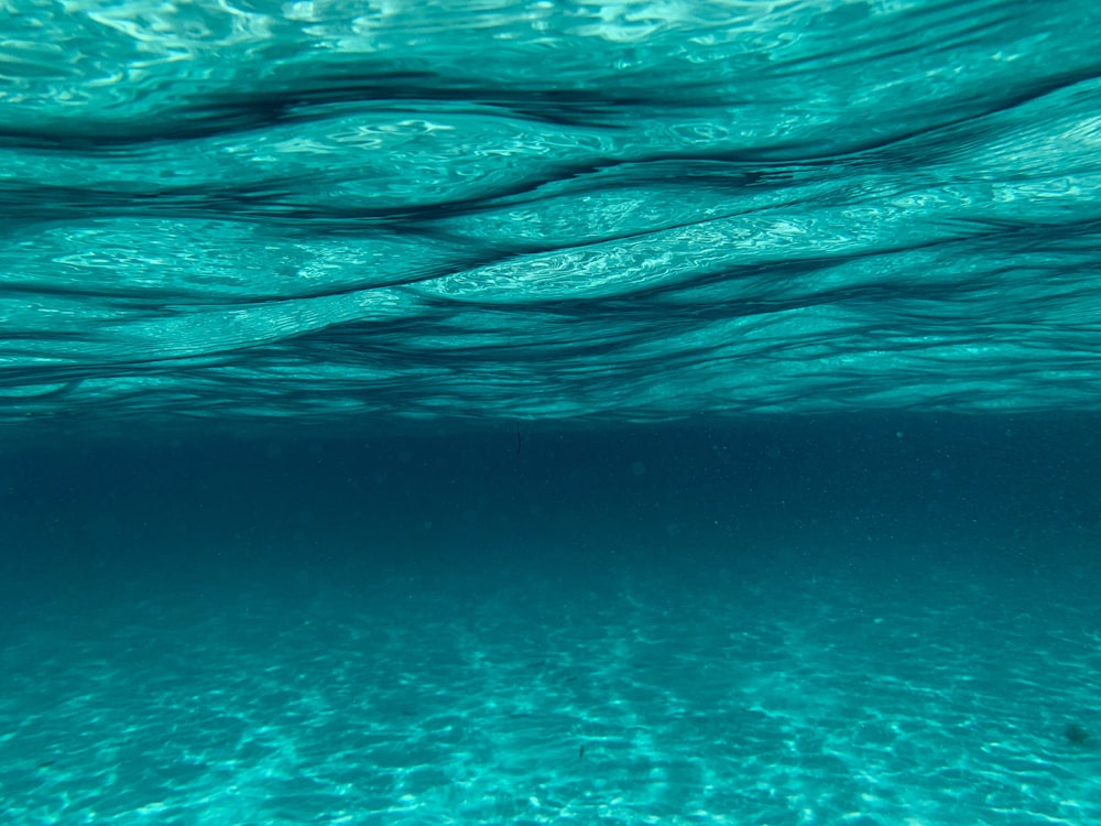 A view of the water from under the surface of the water photo – Free Water  Image on Unsplash