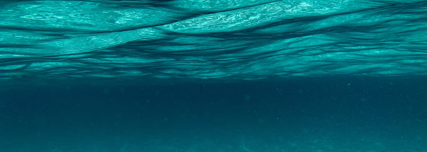 רואה מתחת למים – קריאה בספר אטלנטיס מאת טל ניצן (אפיק 2019)
