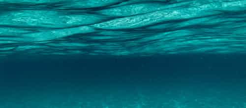 רואה מתחת למים – קריאה בספר אטלנטיס מאת טל ניצן (אפי