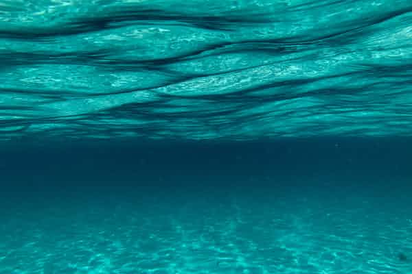 רואה מתחת למים – קריאה בספר אטלנטיס מאת טל ניצן (אפיק 2019)