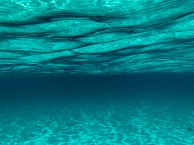 body of water underwater zoom background