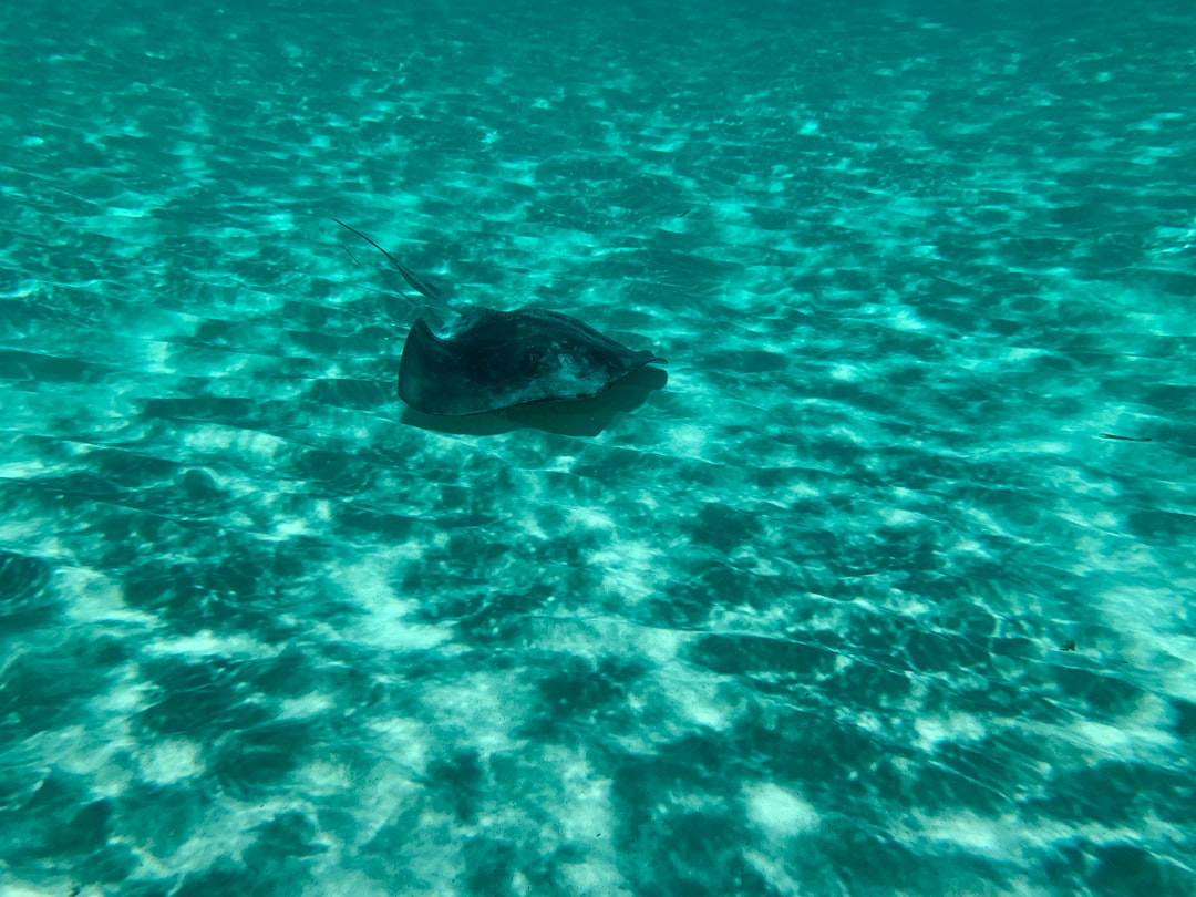 ¿Qué hacer en Cancún- México?