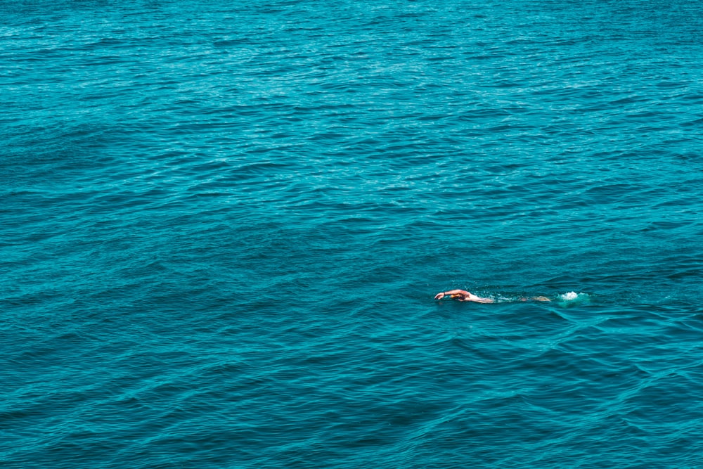 person on body of water