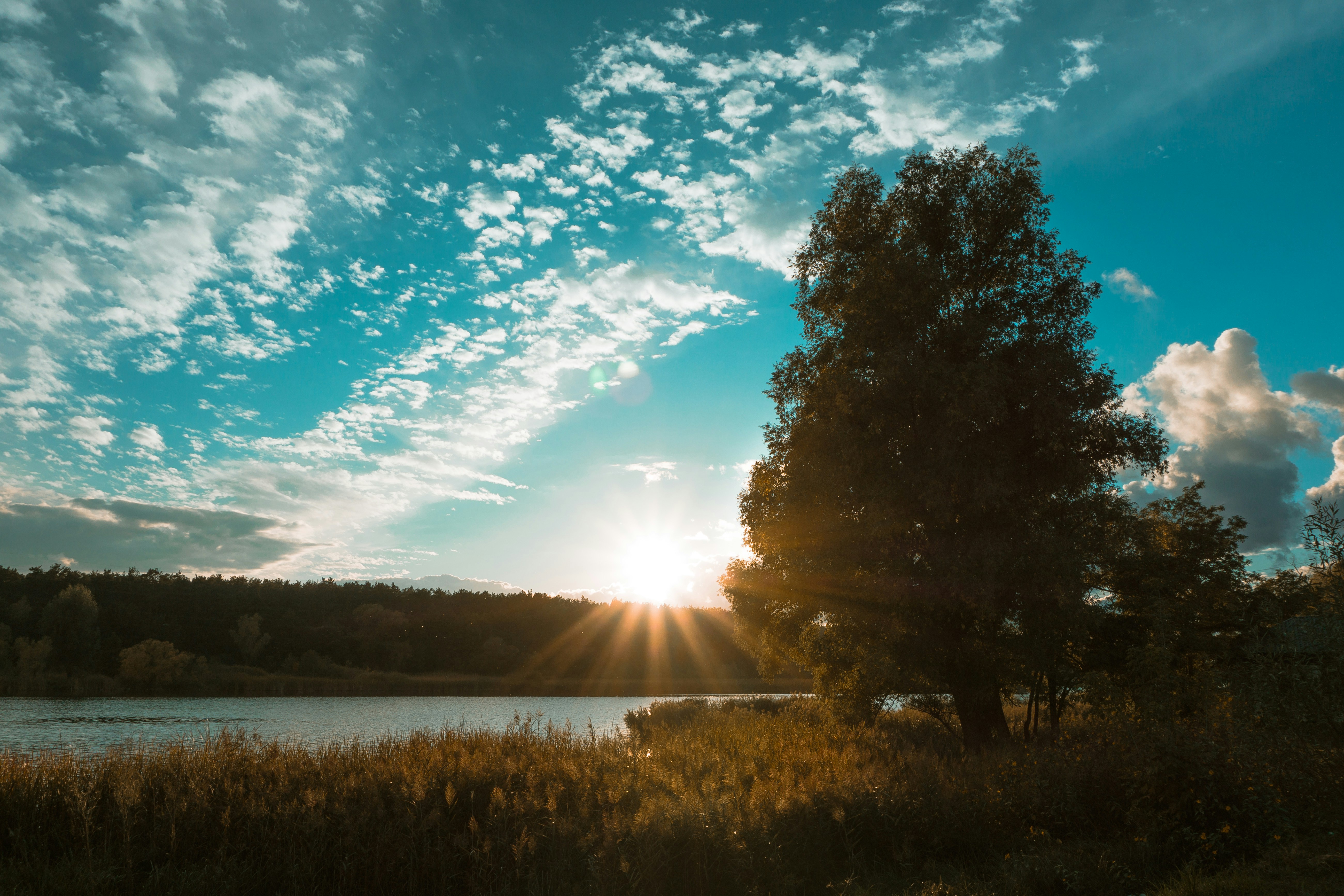 Photo by shishkovdima