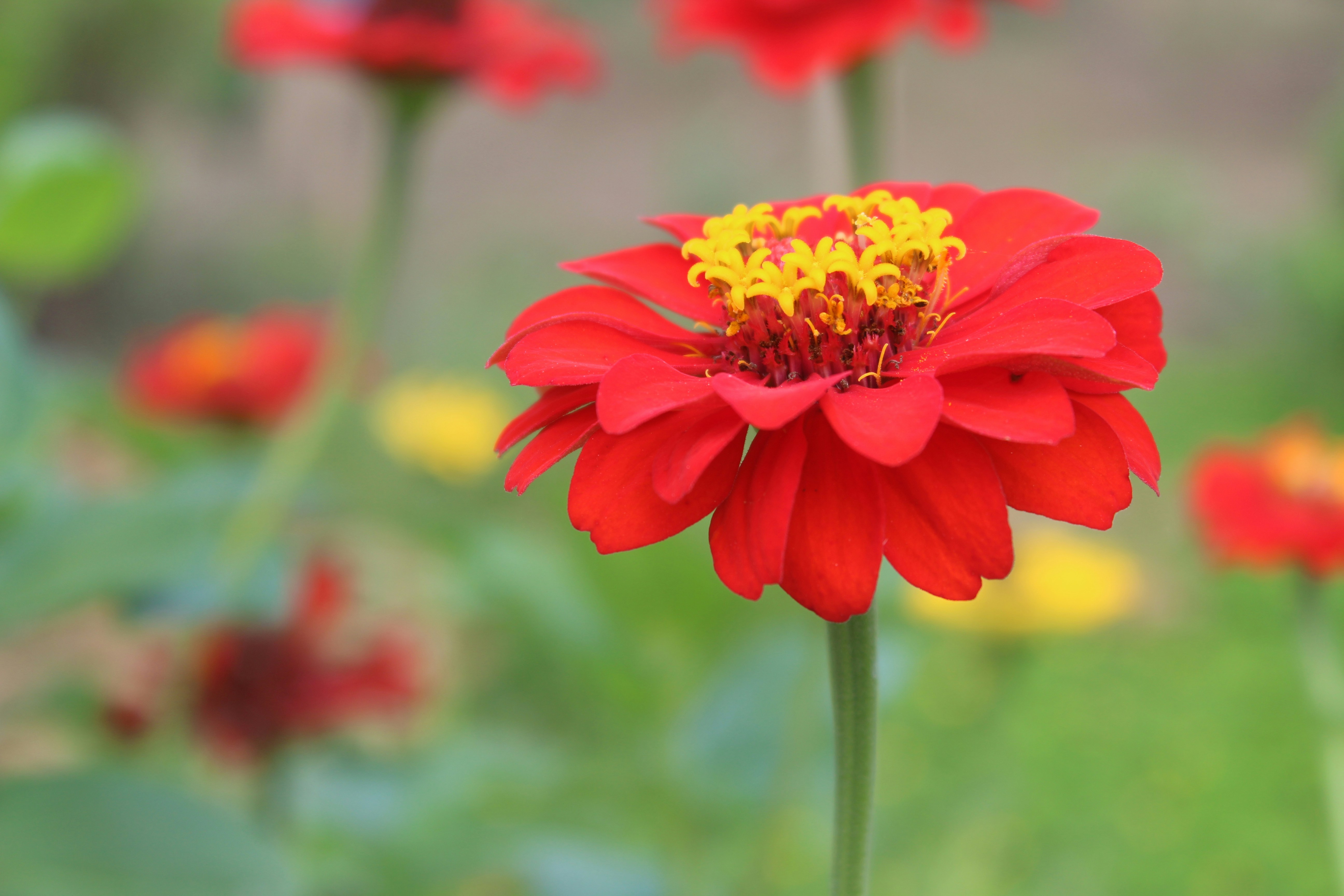 Photo by sandragabriel