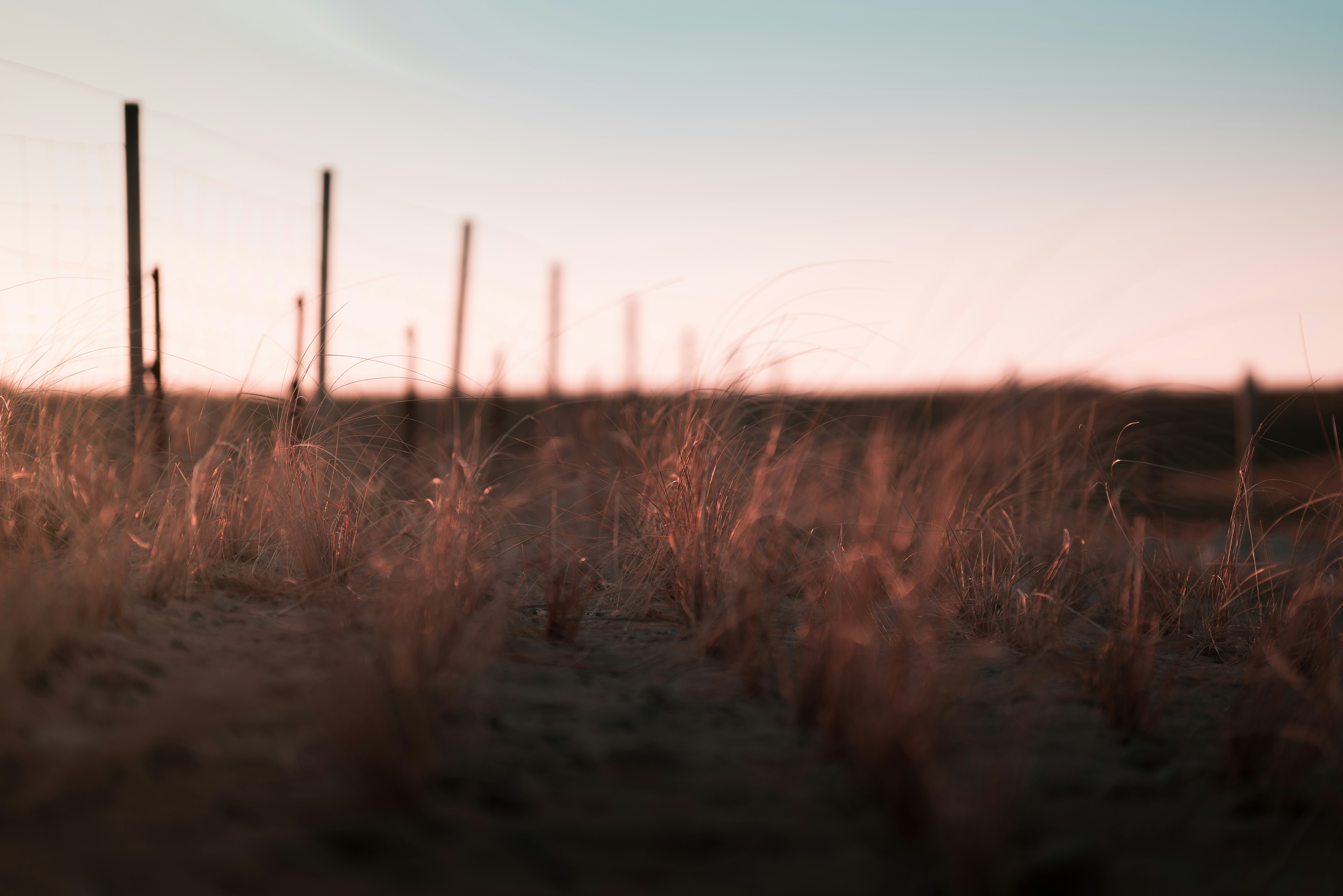 Photo by danieltafjord