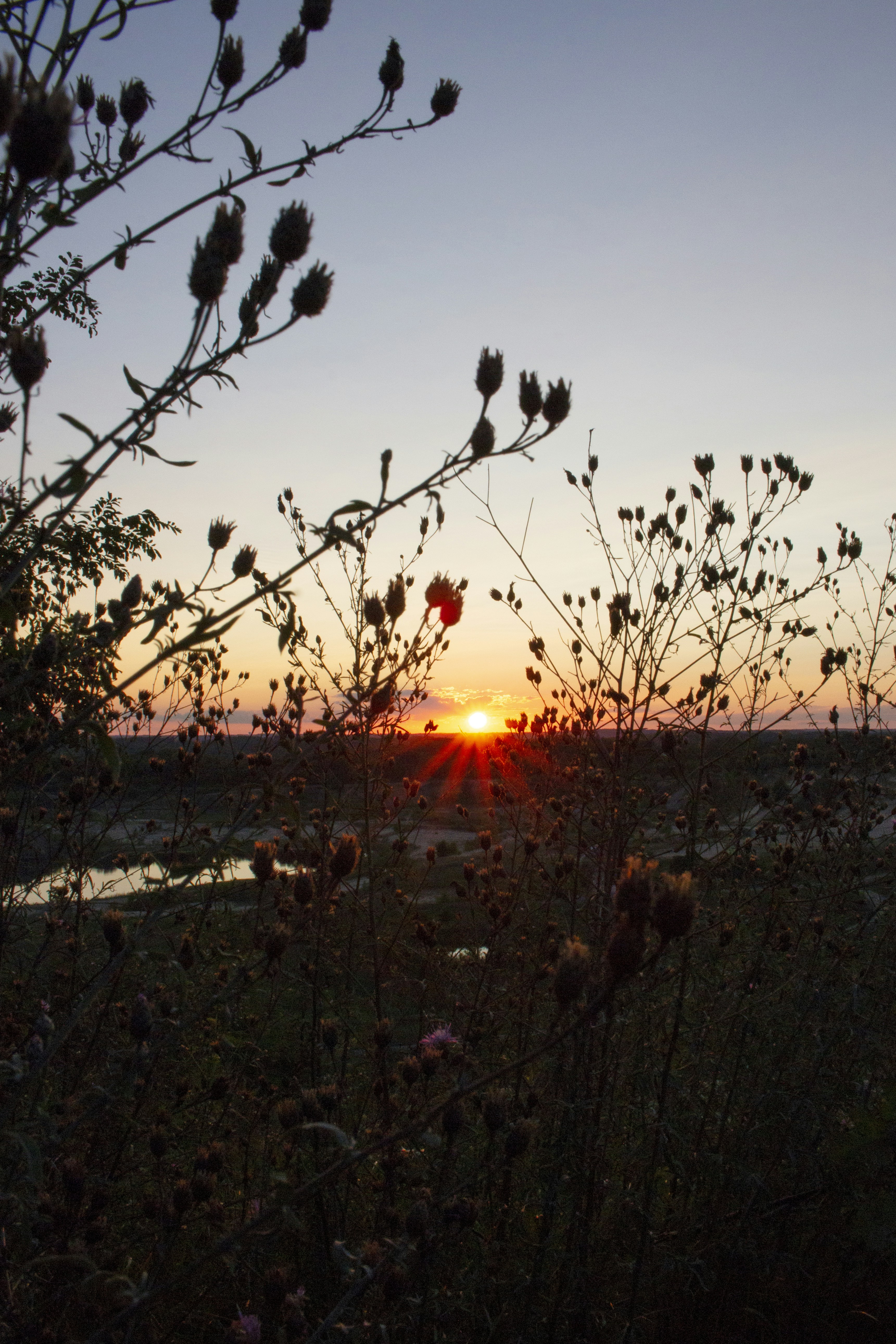 Photo by bradthemann