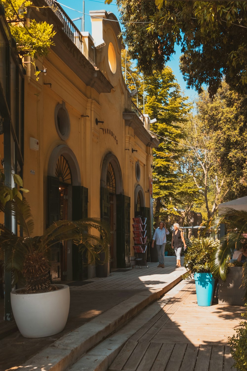 people walking near plants during daytime