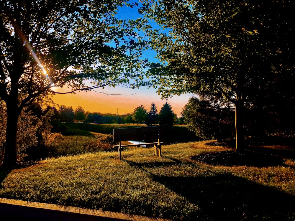 brown wooden bench on grassland during sunset