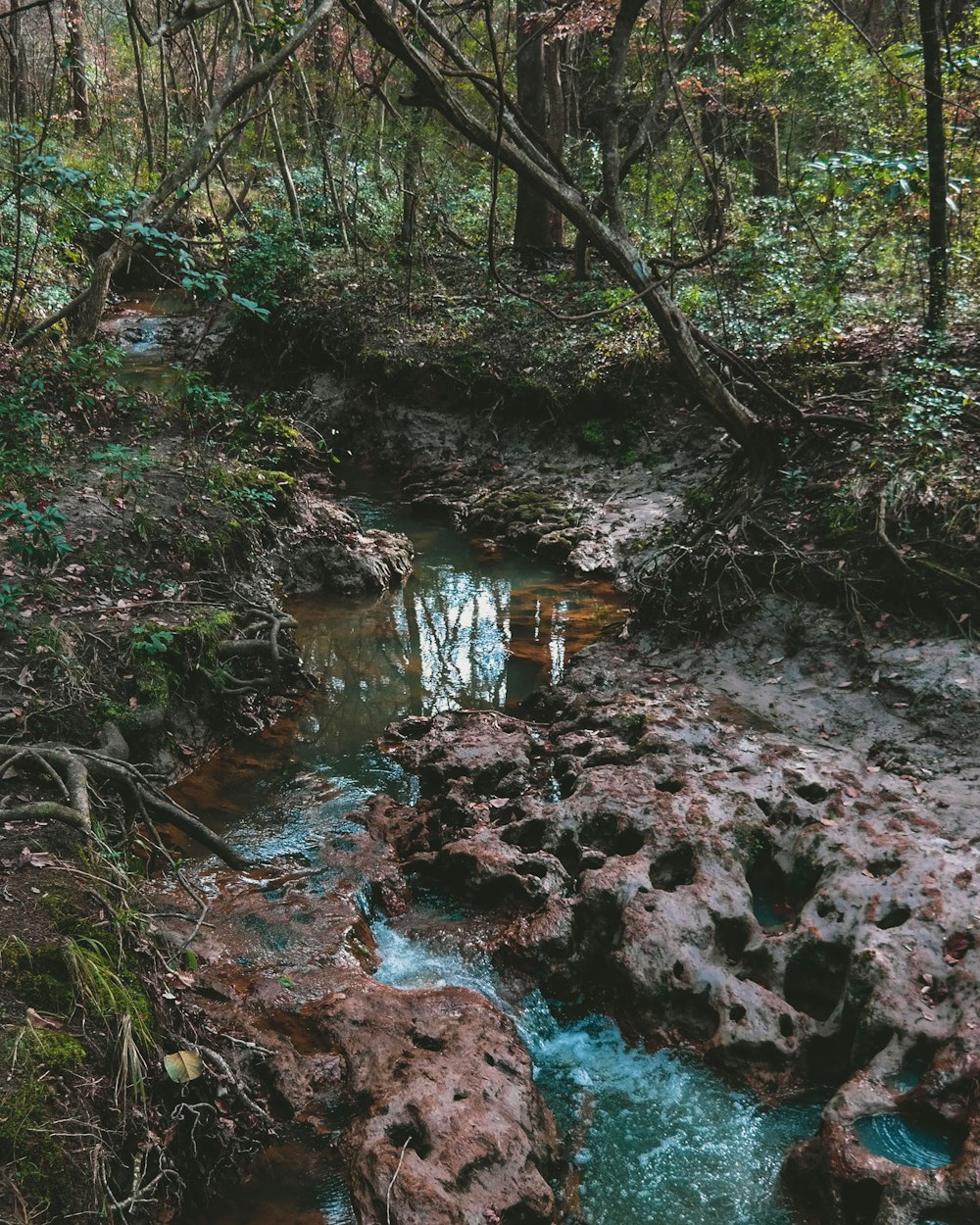 calm body of water beside green grass