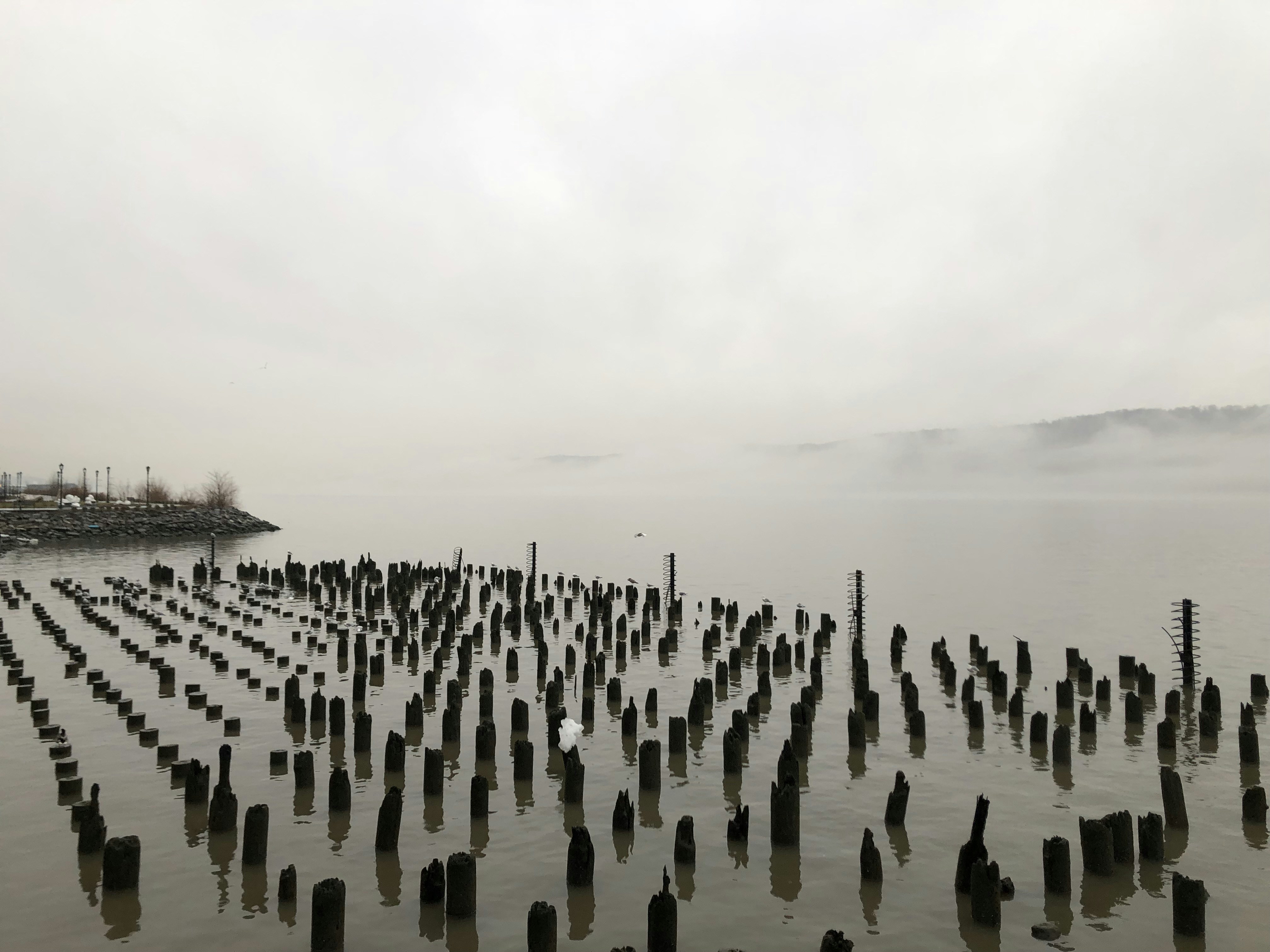 grayscale photography of poles on body of water