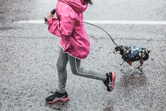 girl holding leash during daytime