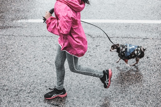 girl holding leash during daytime