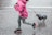 girl holding leash during daytime