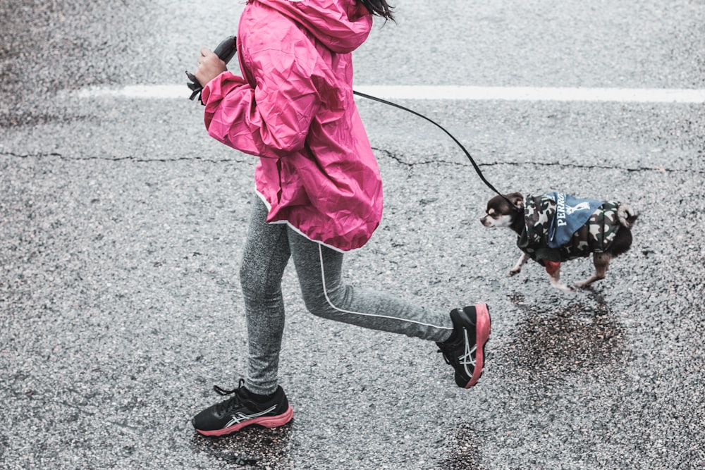 girl holding leash during daytime