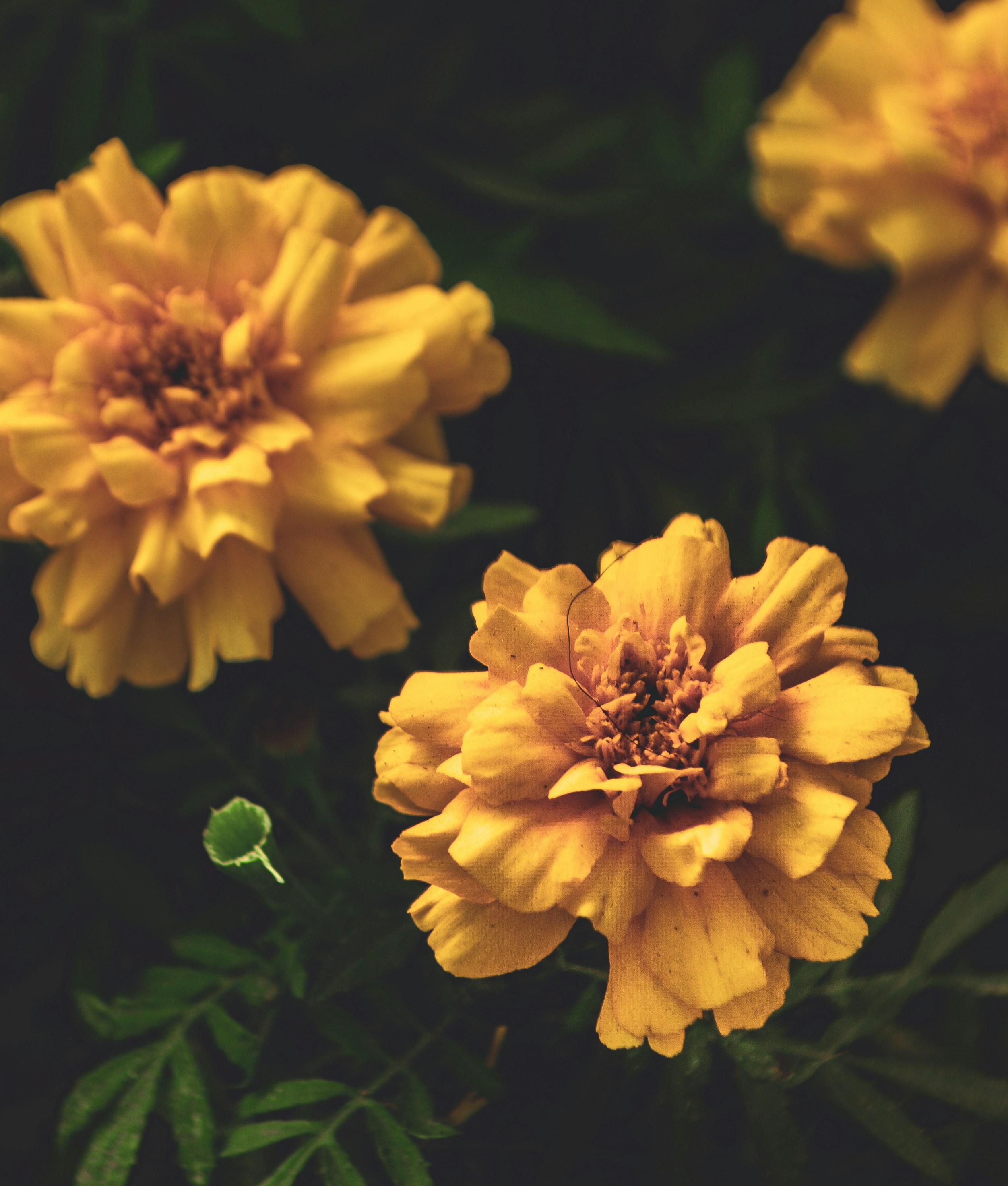 Photo by agustinfernandez