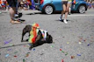 Smiling small dog wearing a vibrant handmade dress on a city street