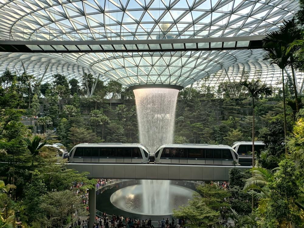 train near trees inside building with indoor waterfalls
