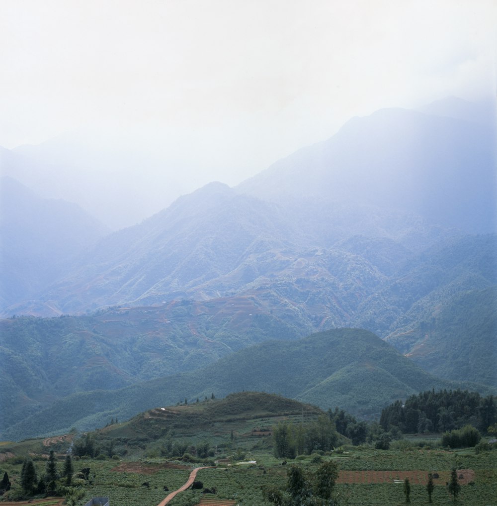 Montaña de hierba verde