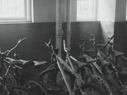 Photo of a row of bikes ready for service inside the Happy Bike shop.