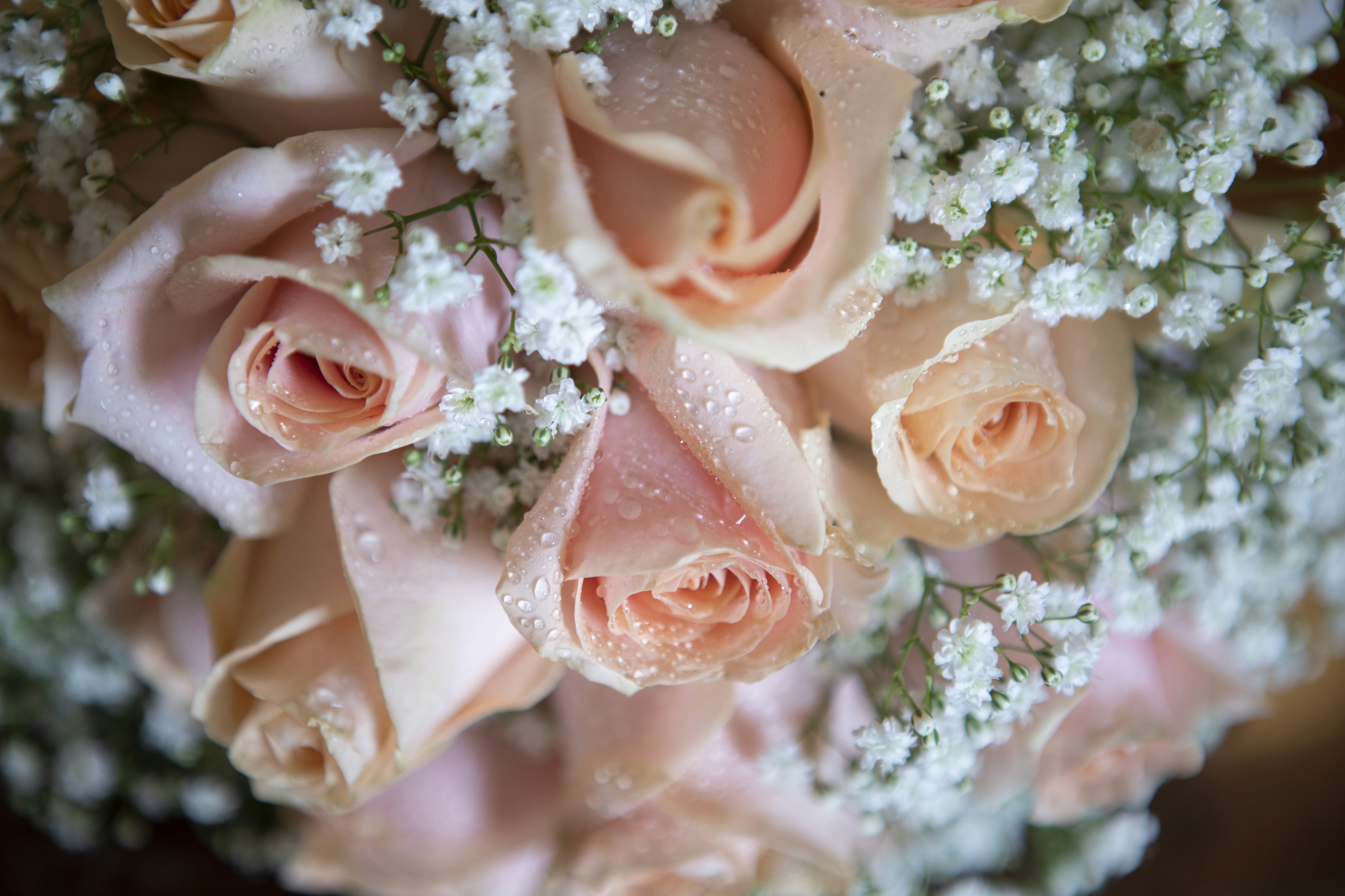 Photo by darrellfraser