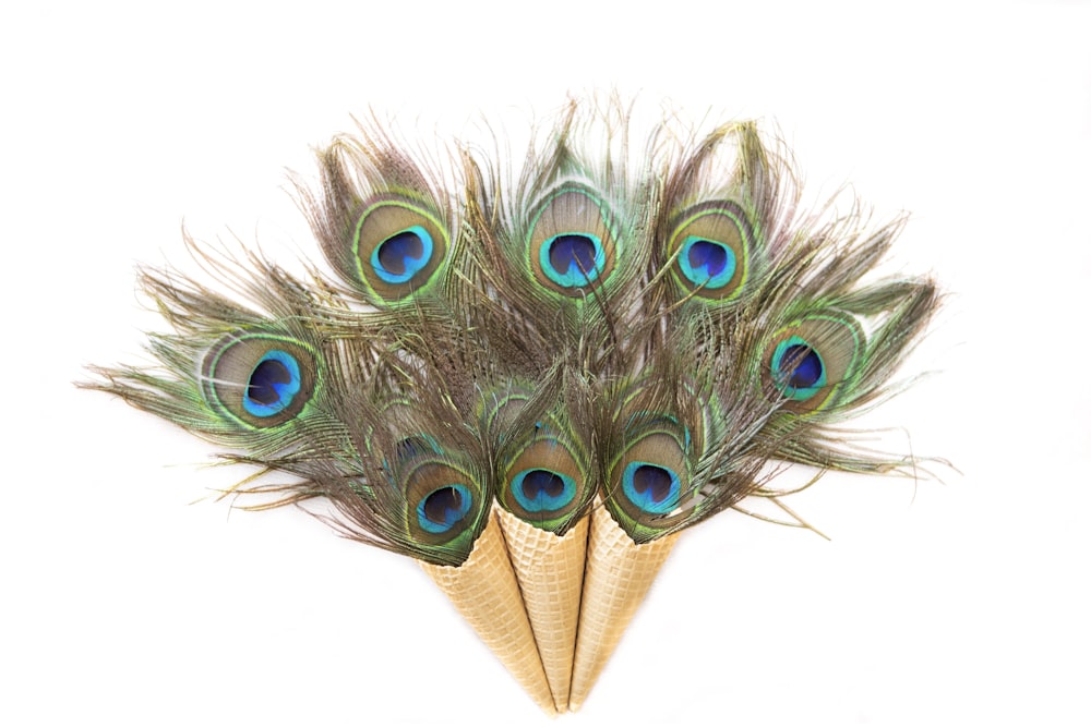 green and brown peacock feather decor