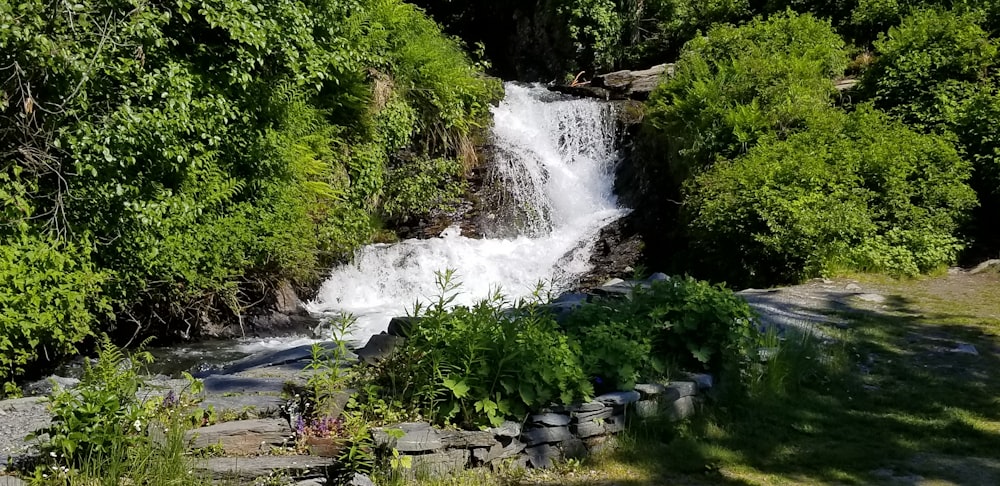 photo of waterfalls besides green plants