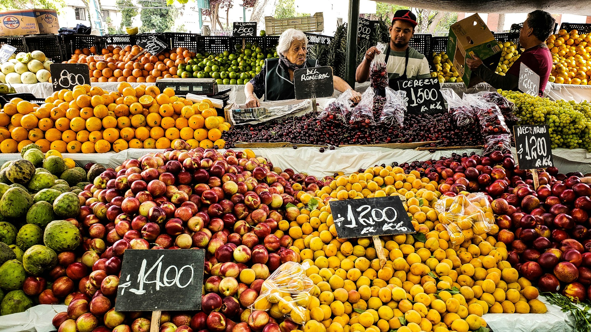 lots of fruits photo during daytime