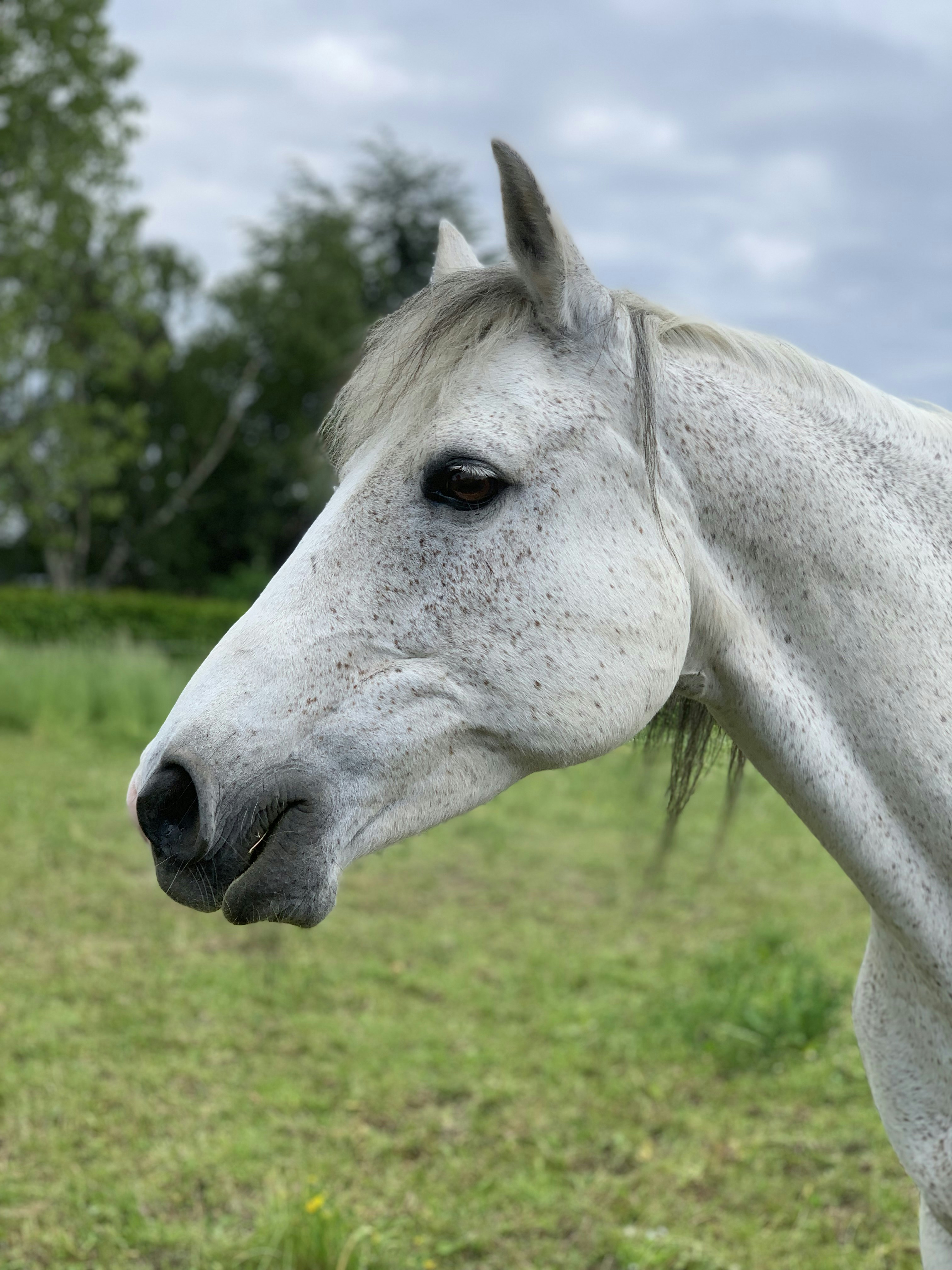 Photo by cloudrocker