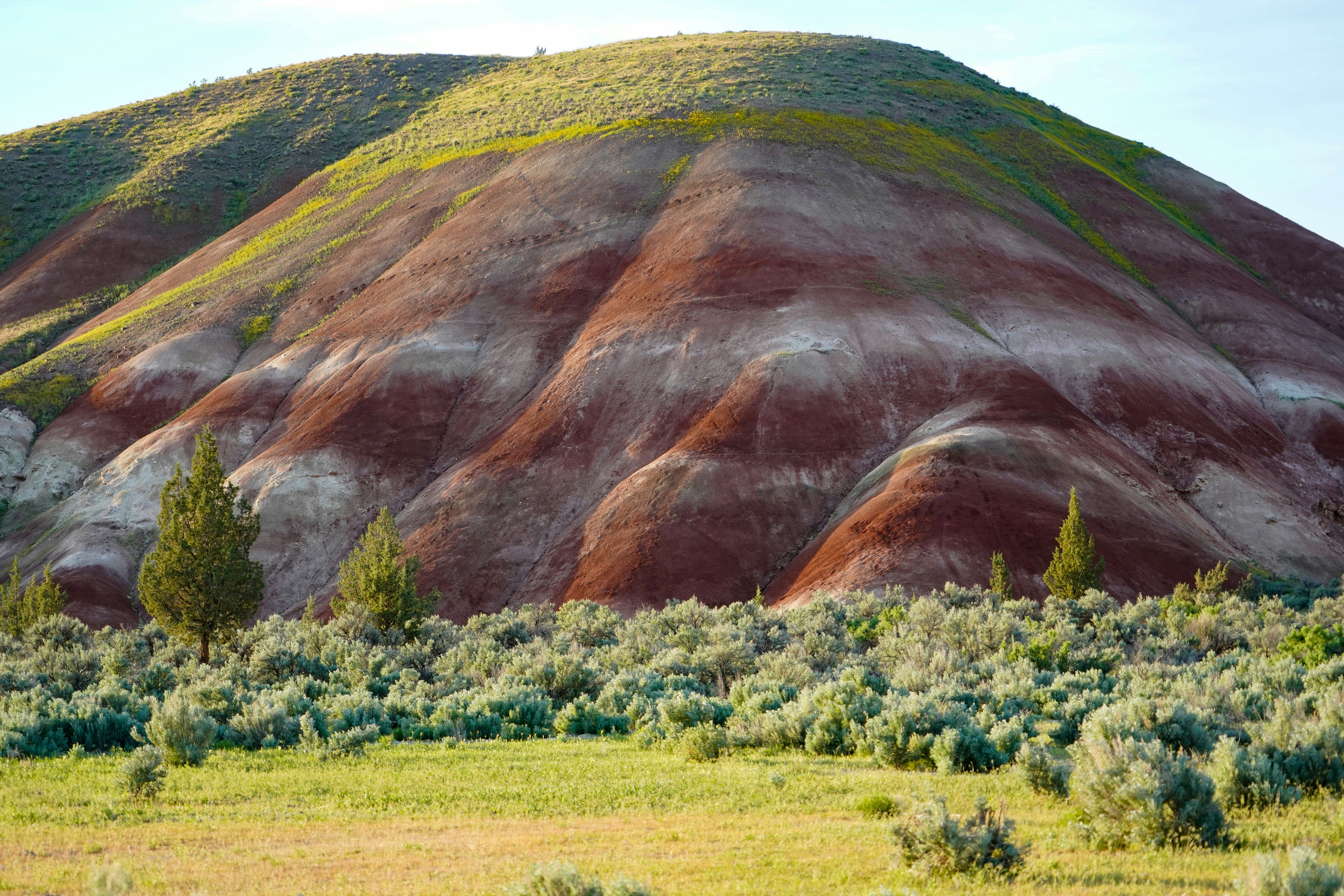 beige and brown mountain, Photo number 5 from my series on the Painted Hills. This section of the Painted Hill Unit at the John Day Fossil Beds is often overlooked. There were 100 photographers at the main hills but I was the only one looking at this beauty. Those colors really appear in real life, especially in the evening. This smaller hill has beautiful bands of white and because of the time of year, a nice green layer of vegetation. Who knew nature was so sexy??