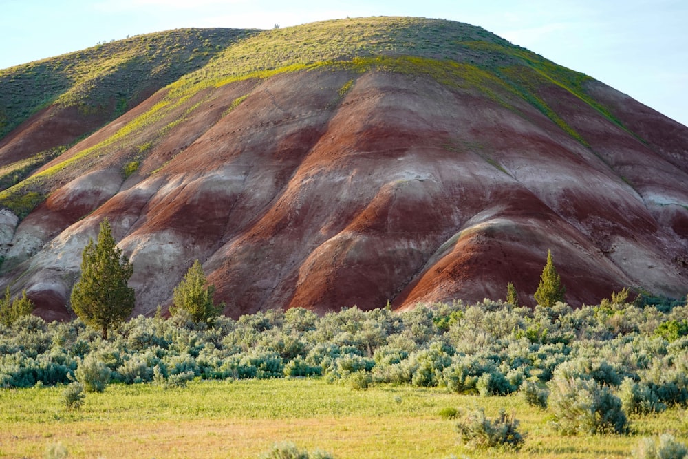 beige and brown mountain