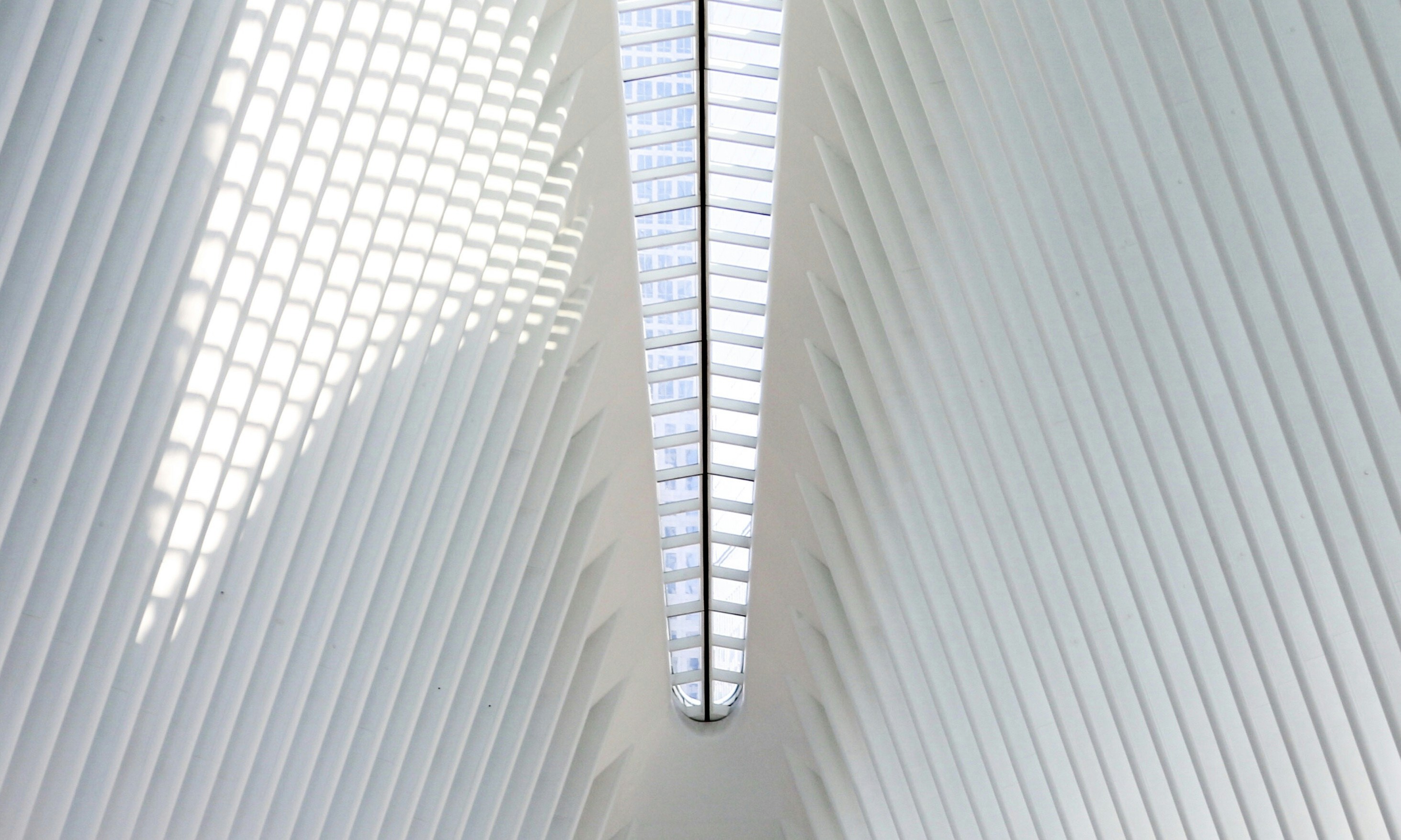 Photo by florianschmid