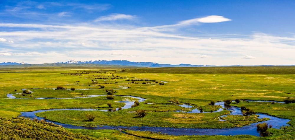 green grass with body of water